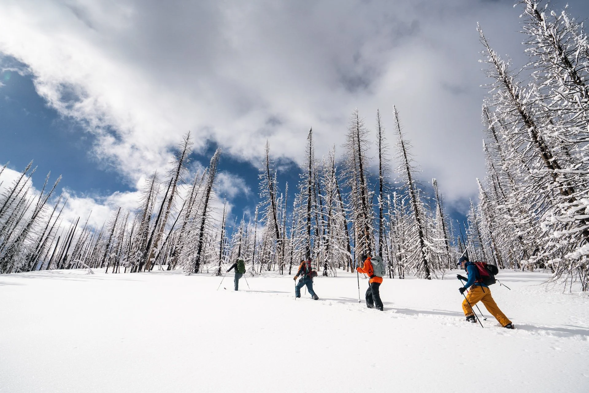 Beginner backcountry skiing