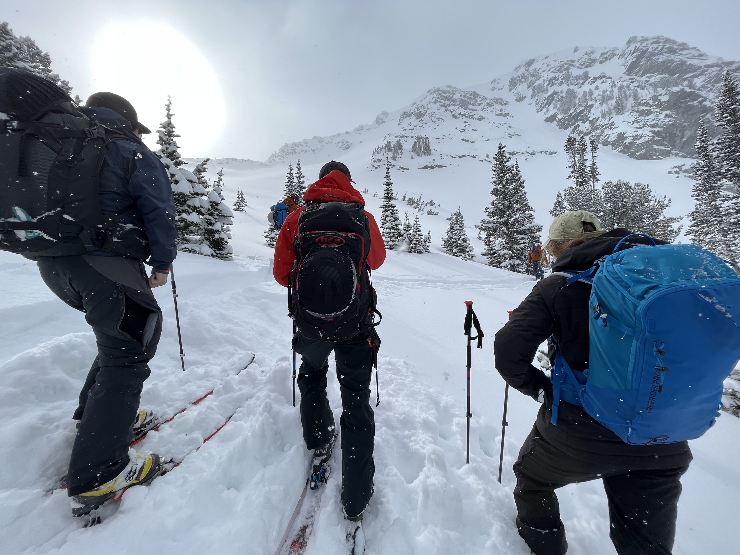 Bozeman backcountry ski guides in big mountains