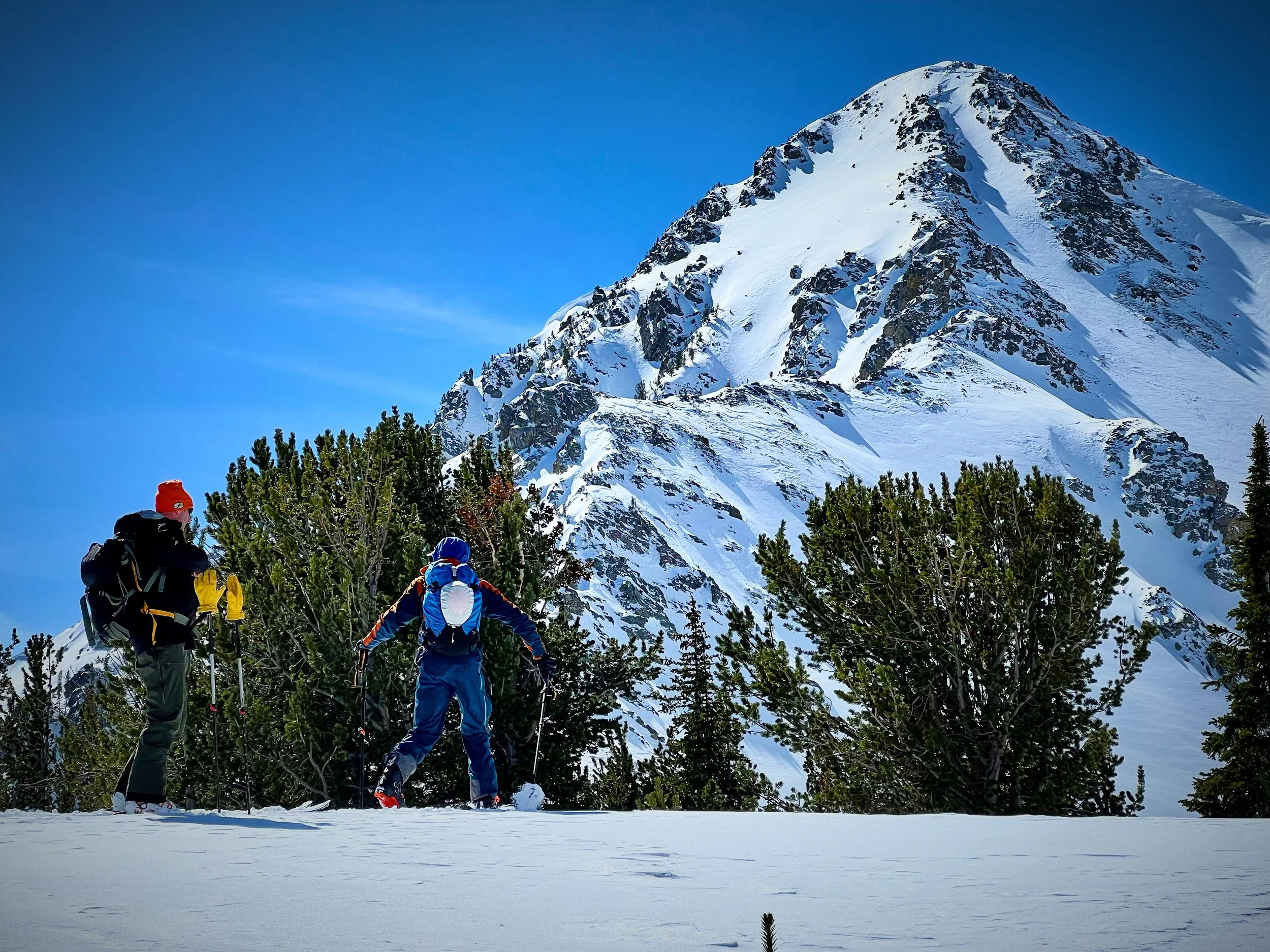 Backcountry skiers with guides touring toward big mountain with blue skies and deep powder.