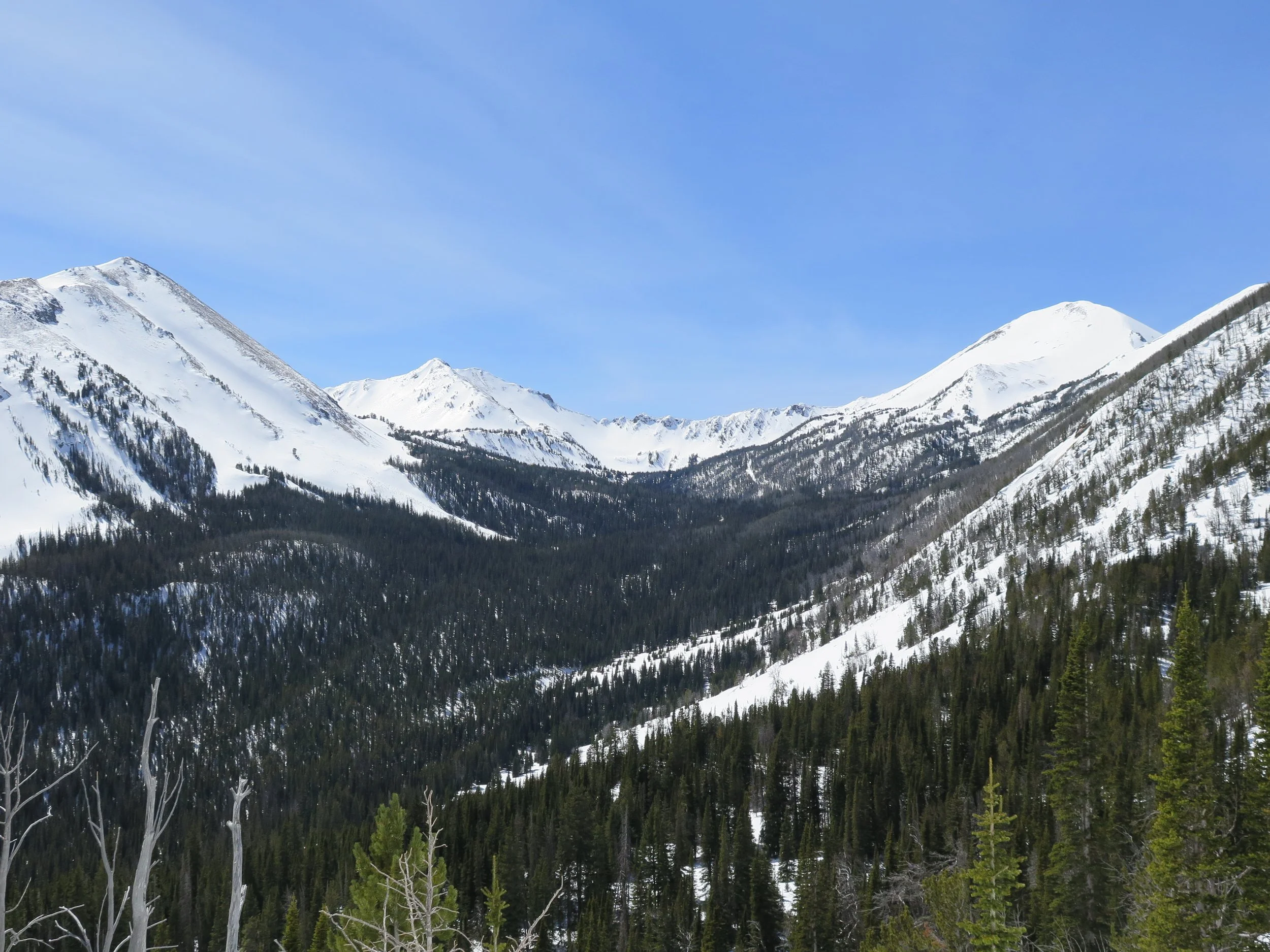 Remote Montana backcountry terrain