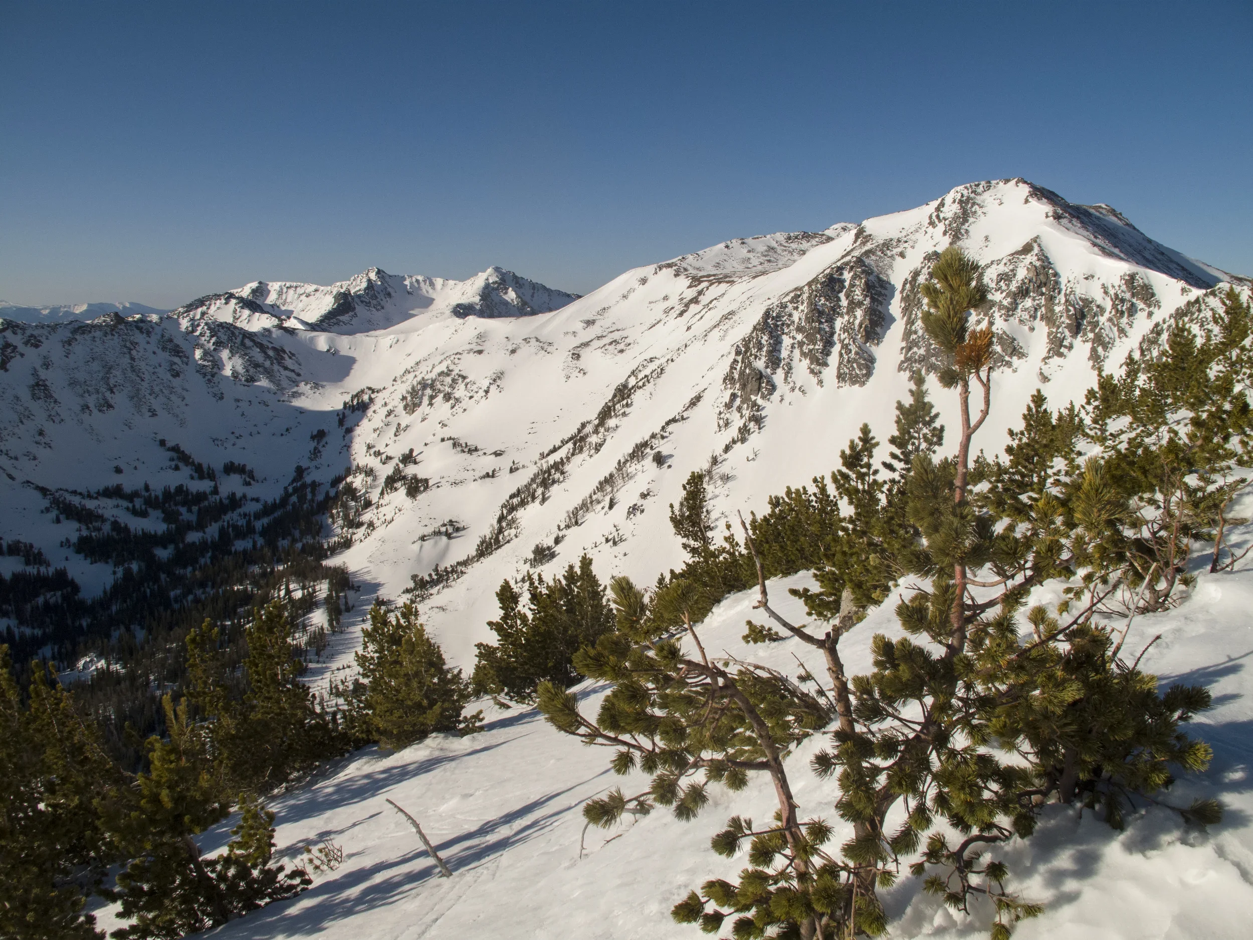 America's best backcountry skiing