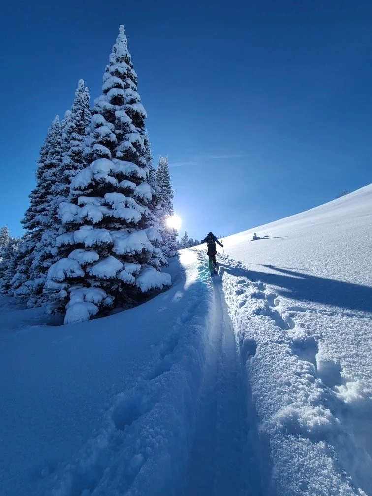 Yurt skiing Montana