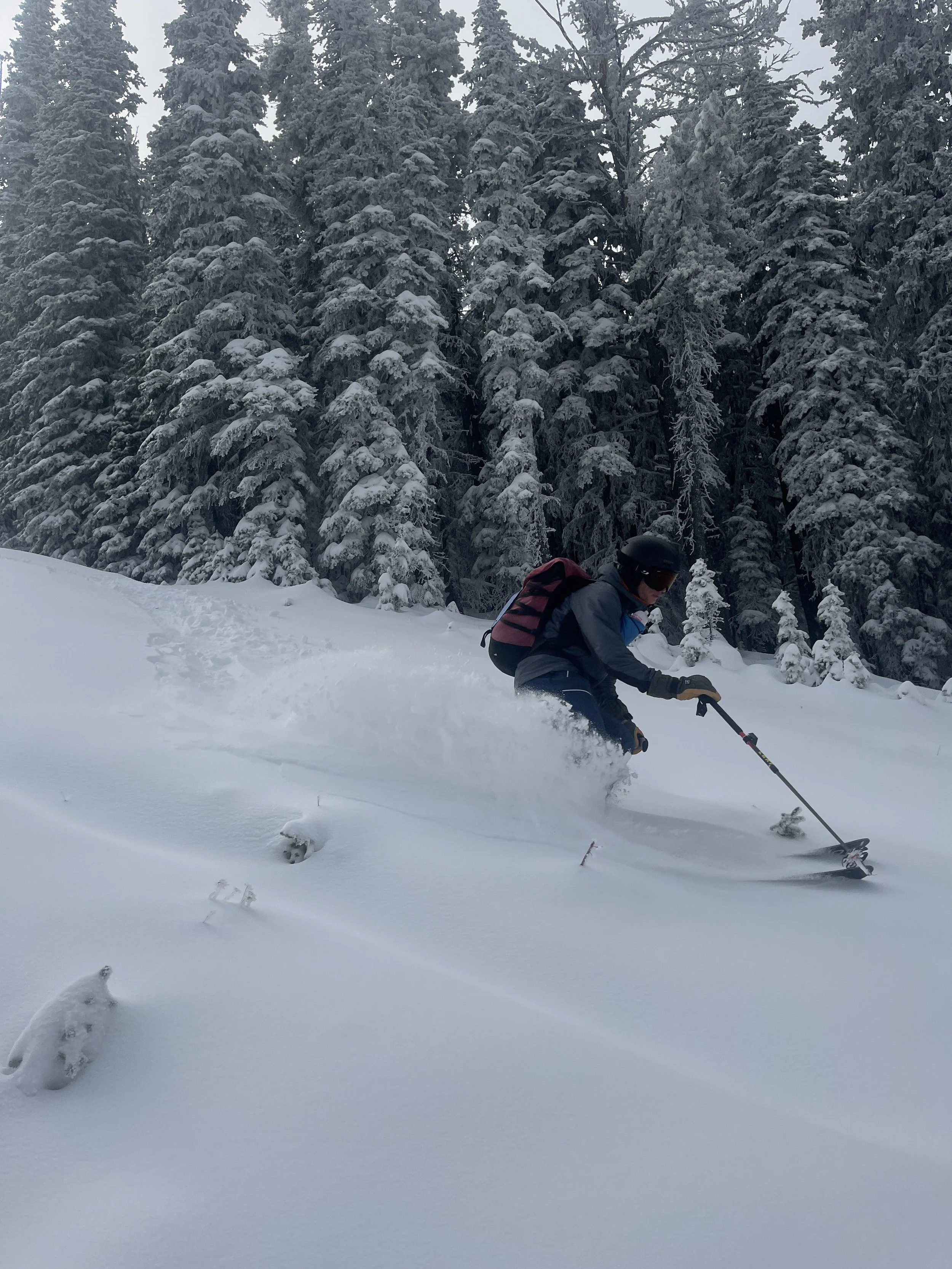 Winter’s Here, and We’re Skiing!