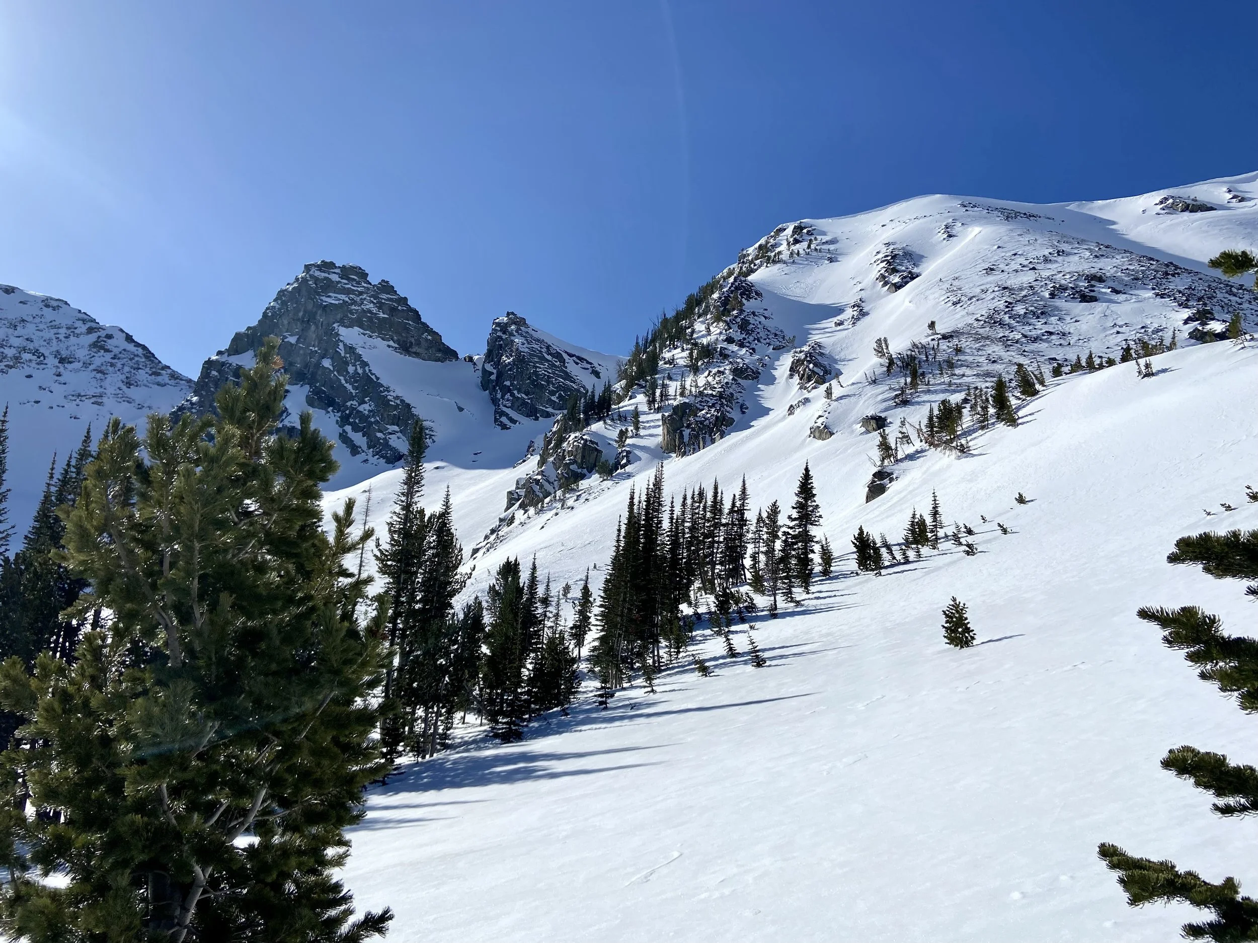 Montana ski touring terrain, powder, and blue skies