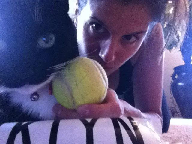 Pain in my ass by JZ Fitness