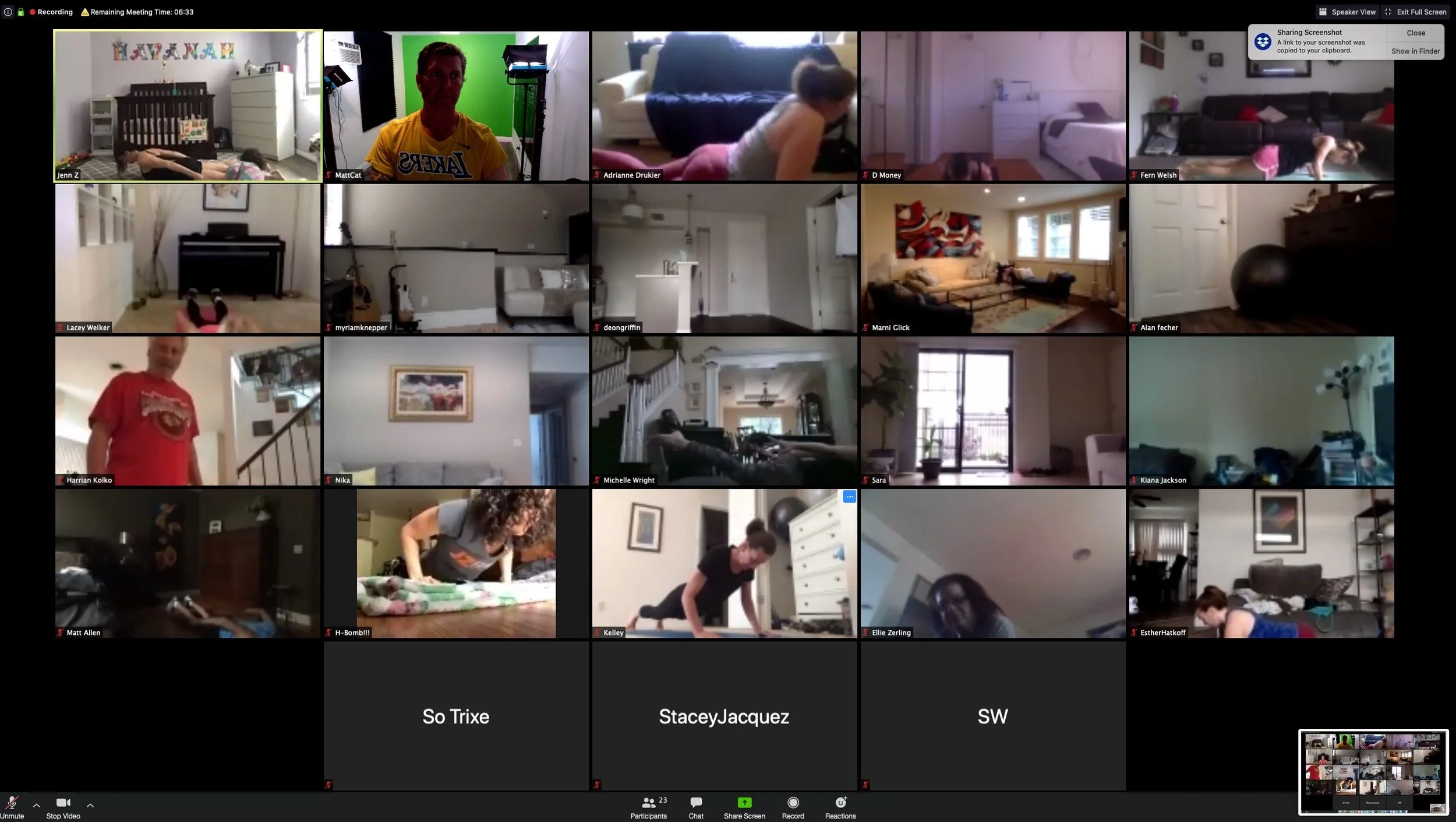 Quarantine ZOOM Call Workout April 8th