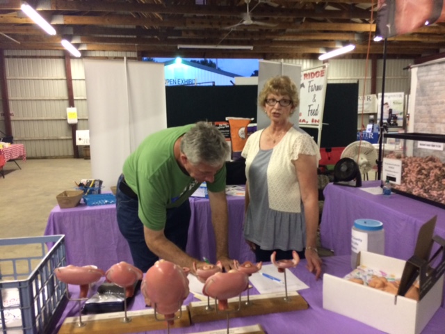 Had a great conversation with Darlene Edgecomb at the Marshall County 4H fair in Argos.