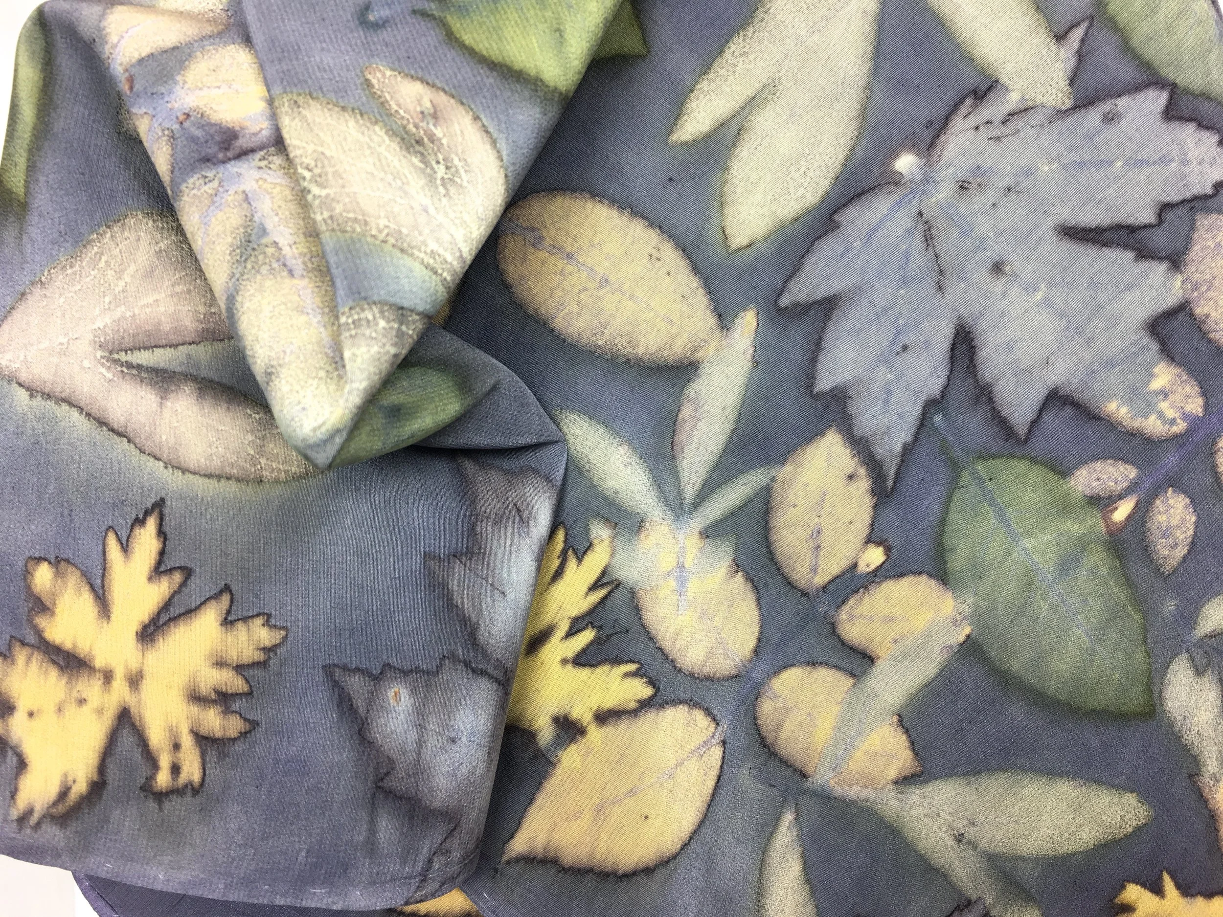  Detail of a silk scarf dyed with Cranesbill Geranium, Rose, Peony, Sand Cherry and Maple leaves on a Logwood background.&nbsp; 