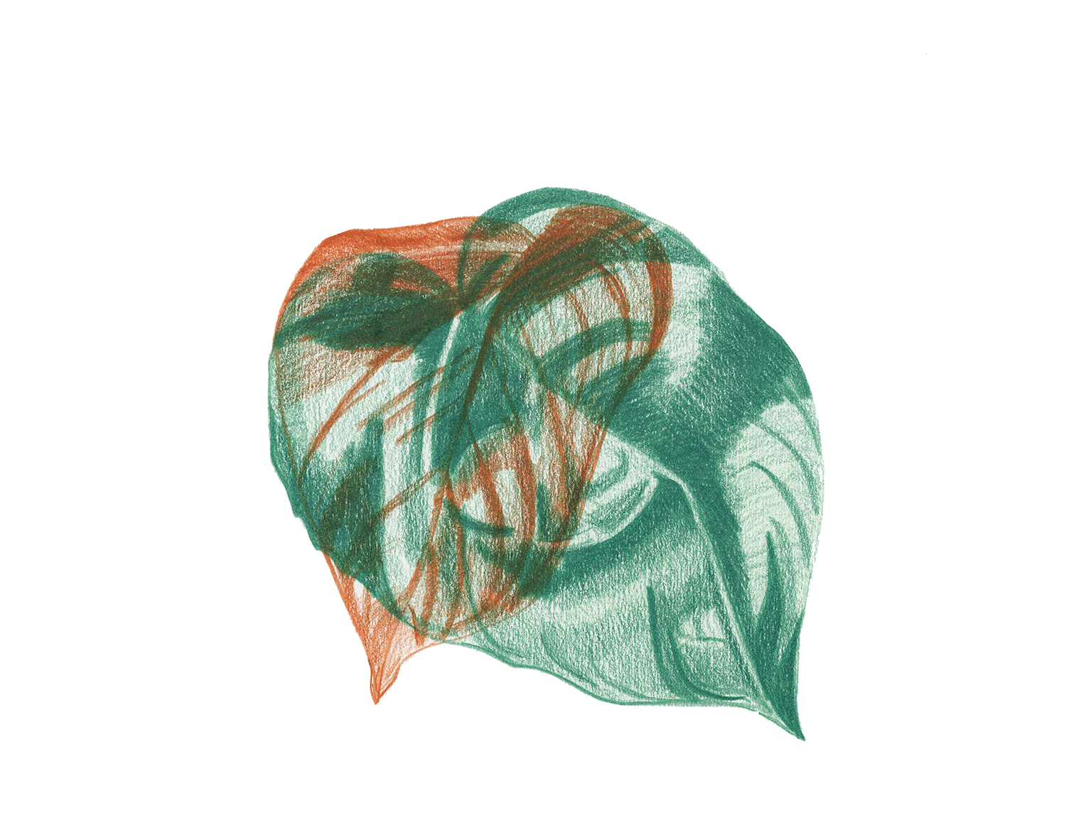 Pothos series_1.png