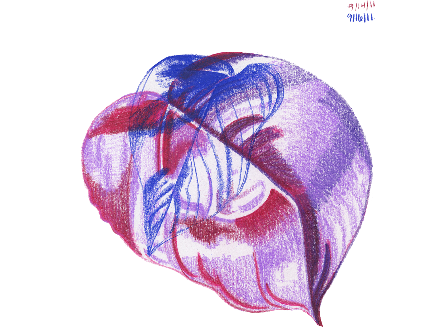 Pothos series 3.png