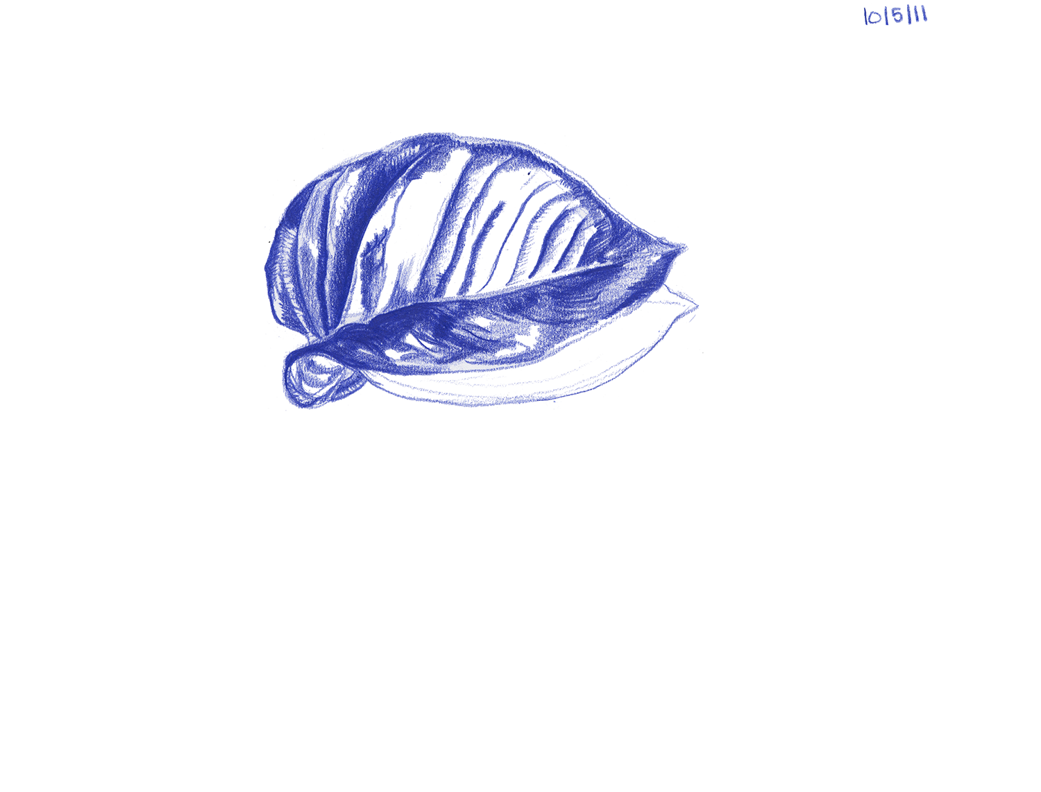 Pothos series 9.png