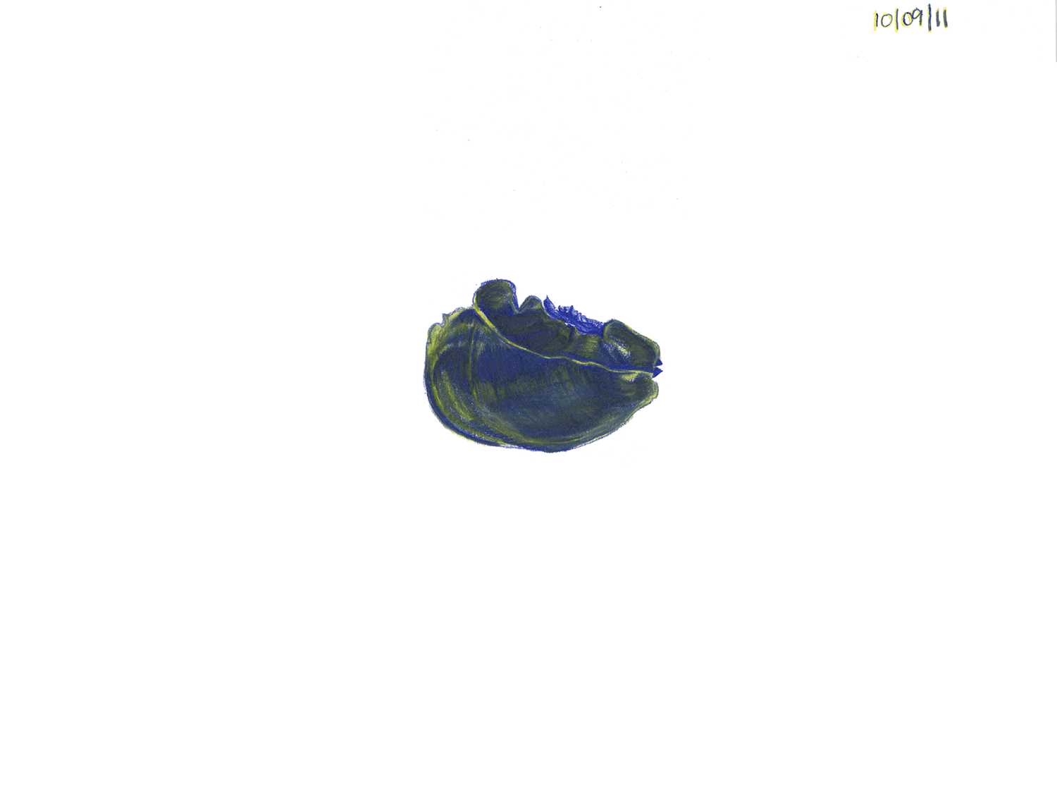 Pothos series 11.png