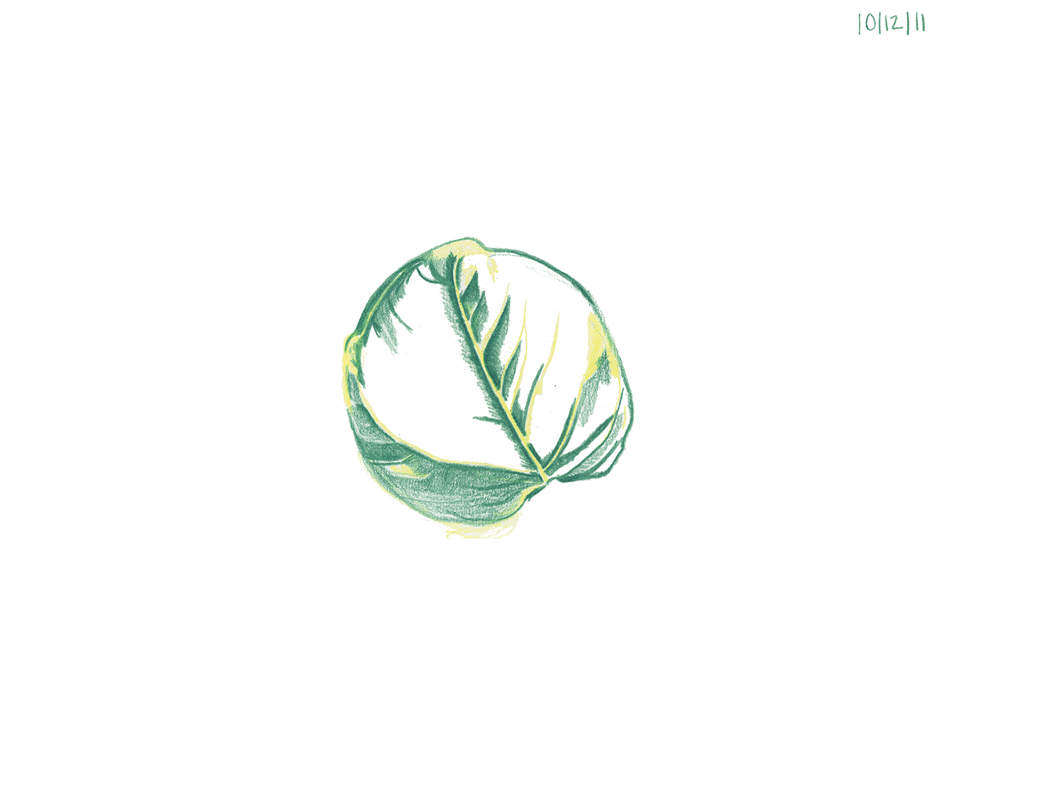 Pothos series 14.png