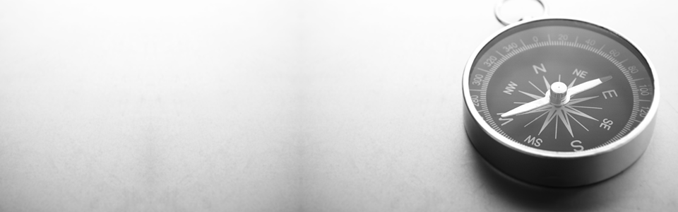 banner_compass-1.gif