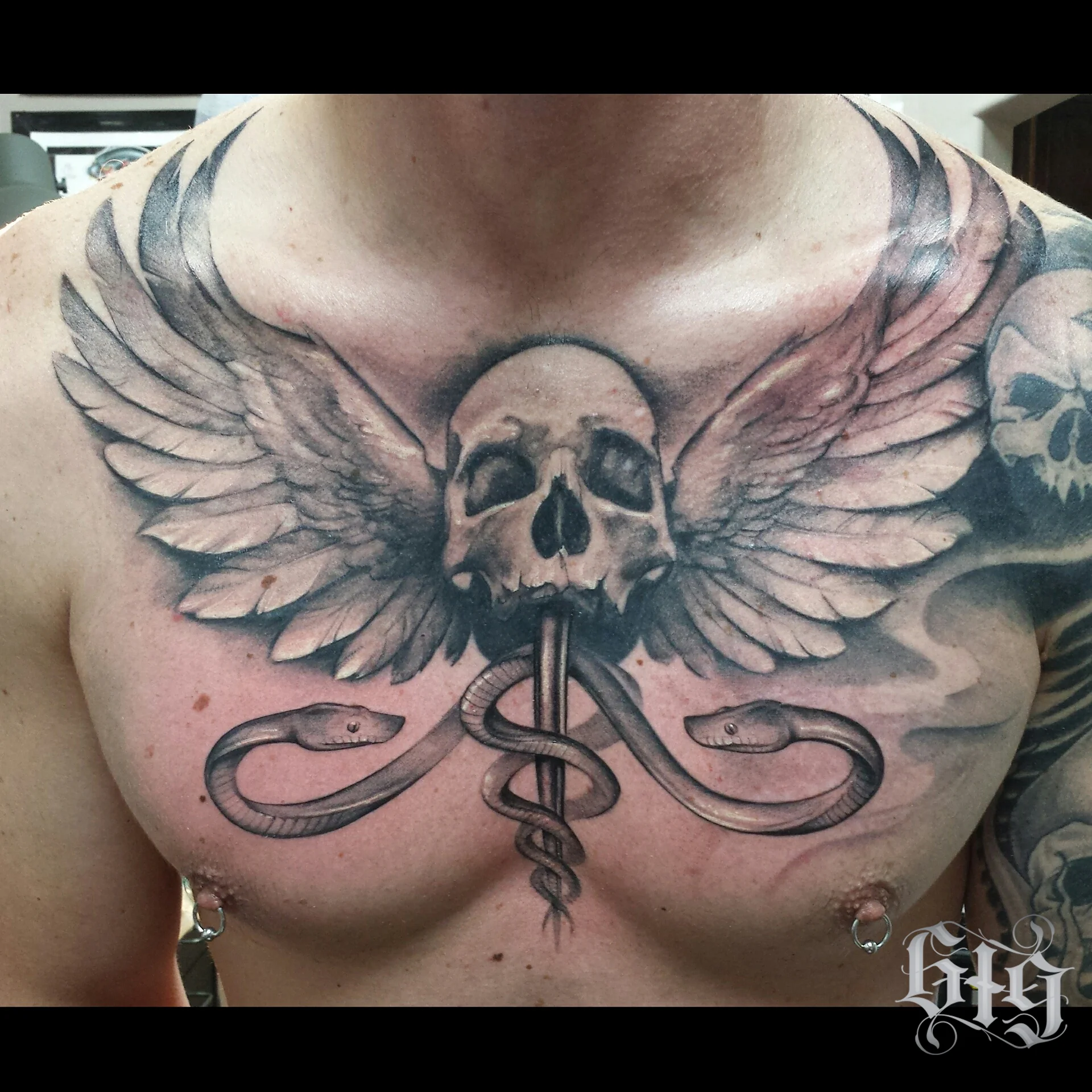 Skull with feathered wings and snakes. Chest piece black and gray tattoo. 