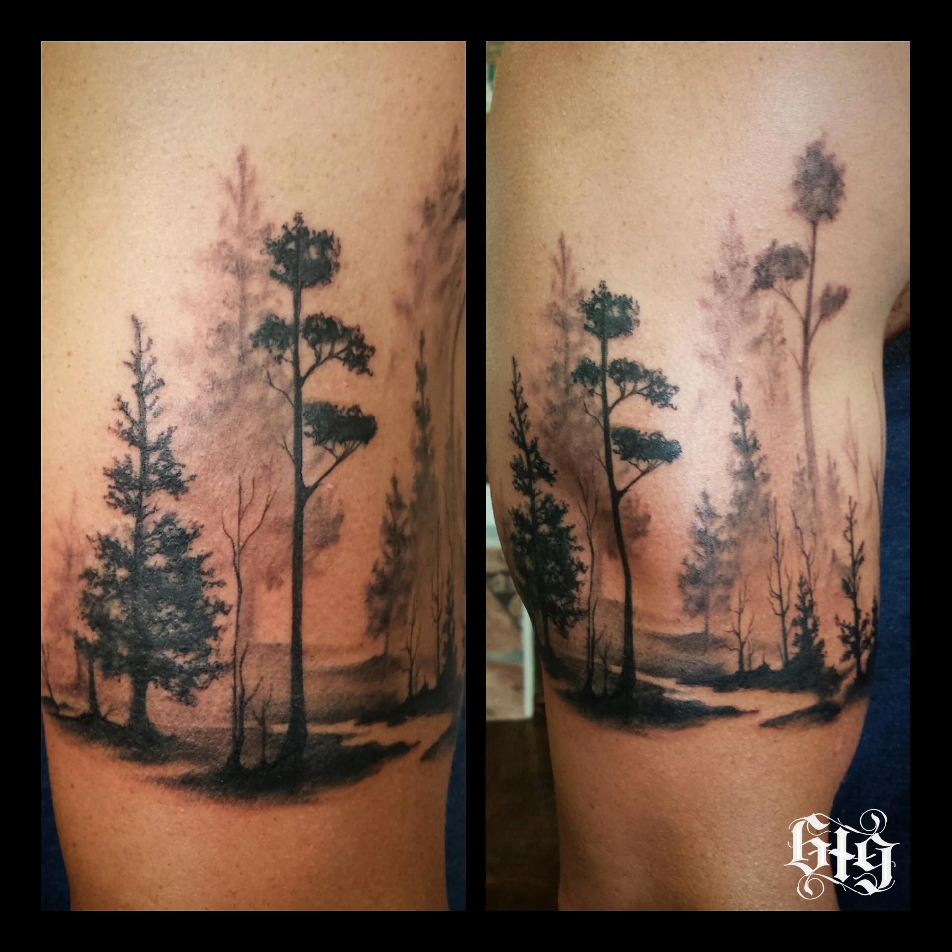 Misty Forest. Black and gray trees fine detail. Upper arm, half sleeve tattoo