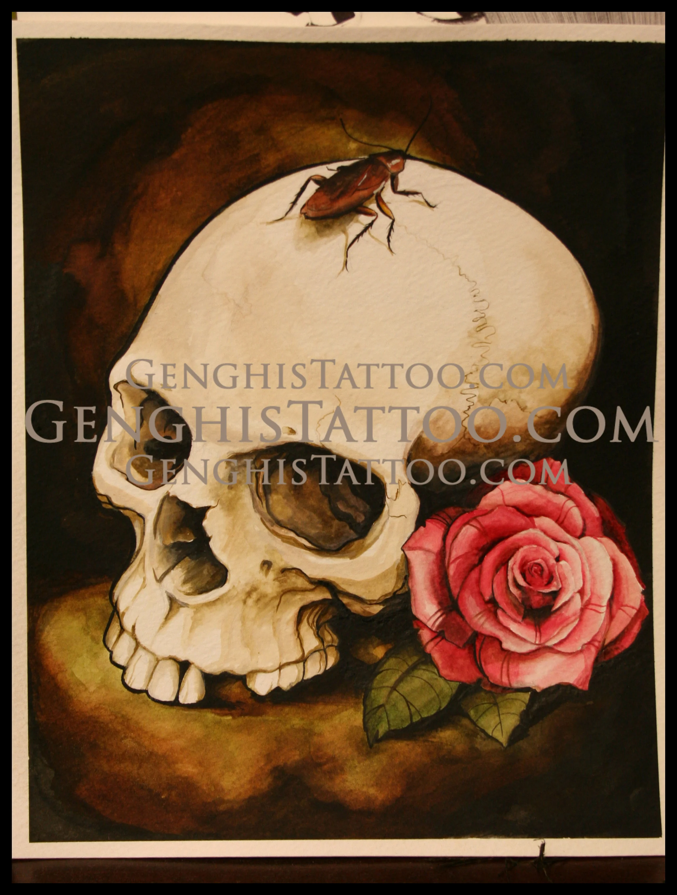 Skull with rose and cockroach. Original Artwork fine detailed. 