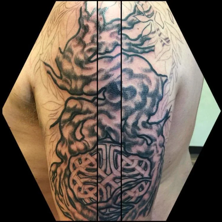 Celtic knot in the roots of a tree. In Progress Black and gray. 