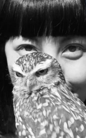 All images on this site © 2017 Alice Lee
