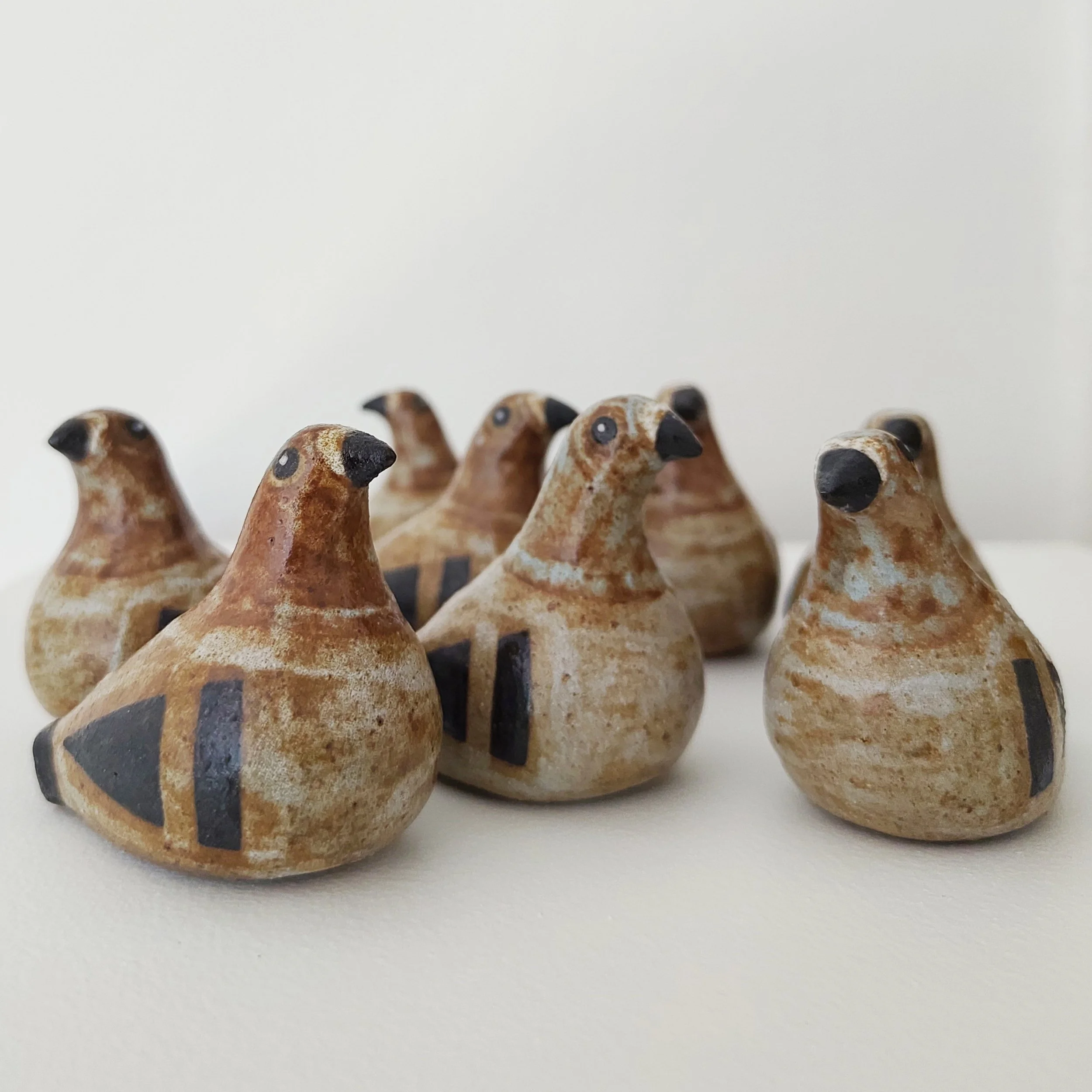 Terracotta Dove Webby 1.jpg