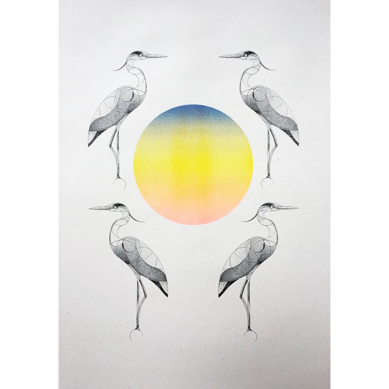 herons at dawn & dusk