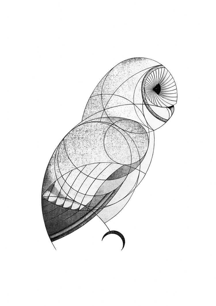 Barn Owl (2015/18)