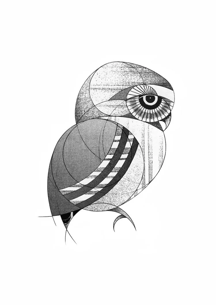 Little Owl (2014)