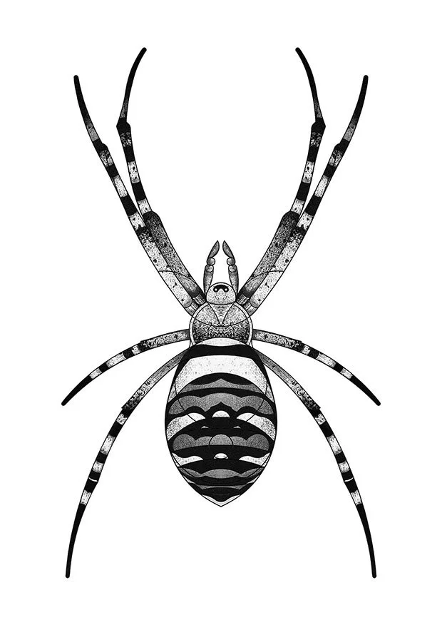 Wasp Spider (Female) (2025)