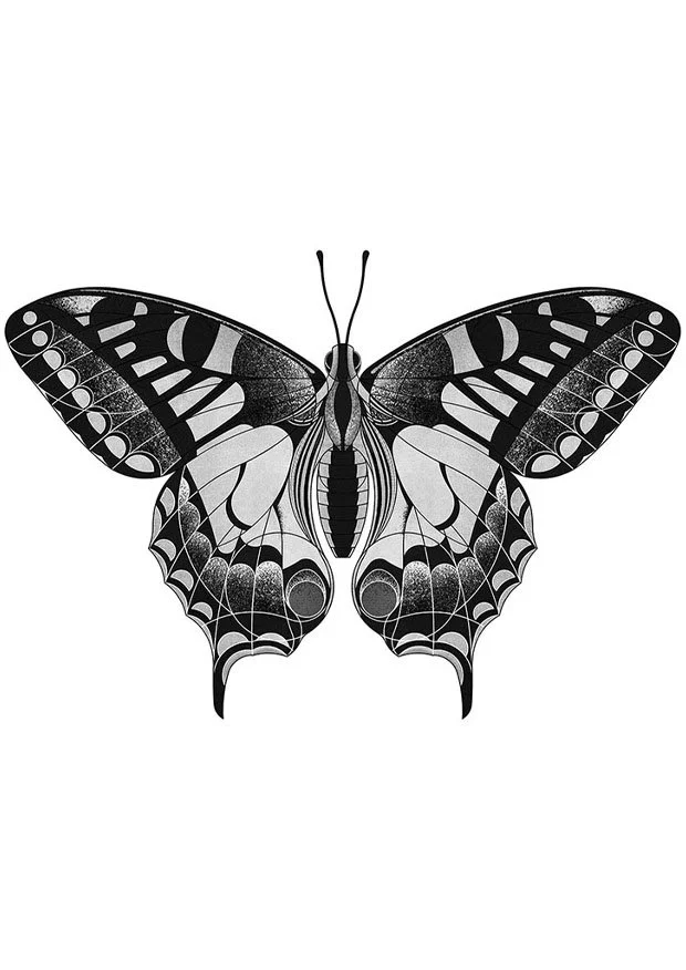 swallowtailbutterfly portrait_sm.jpg