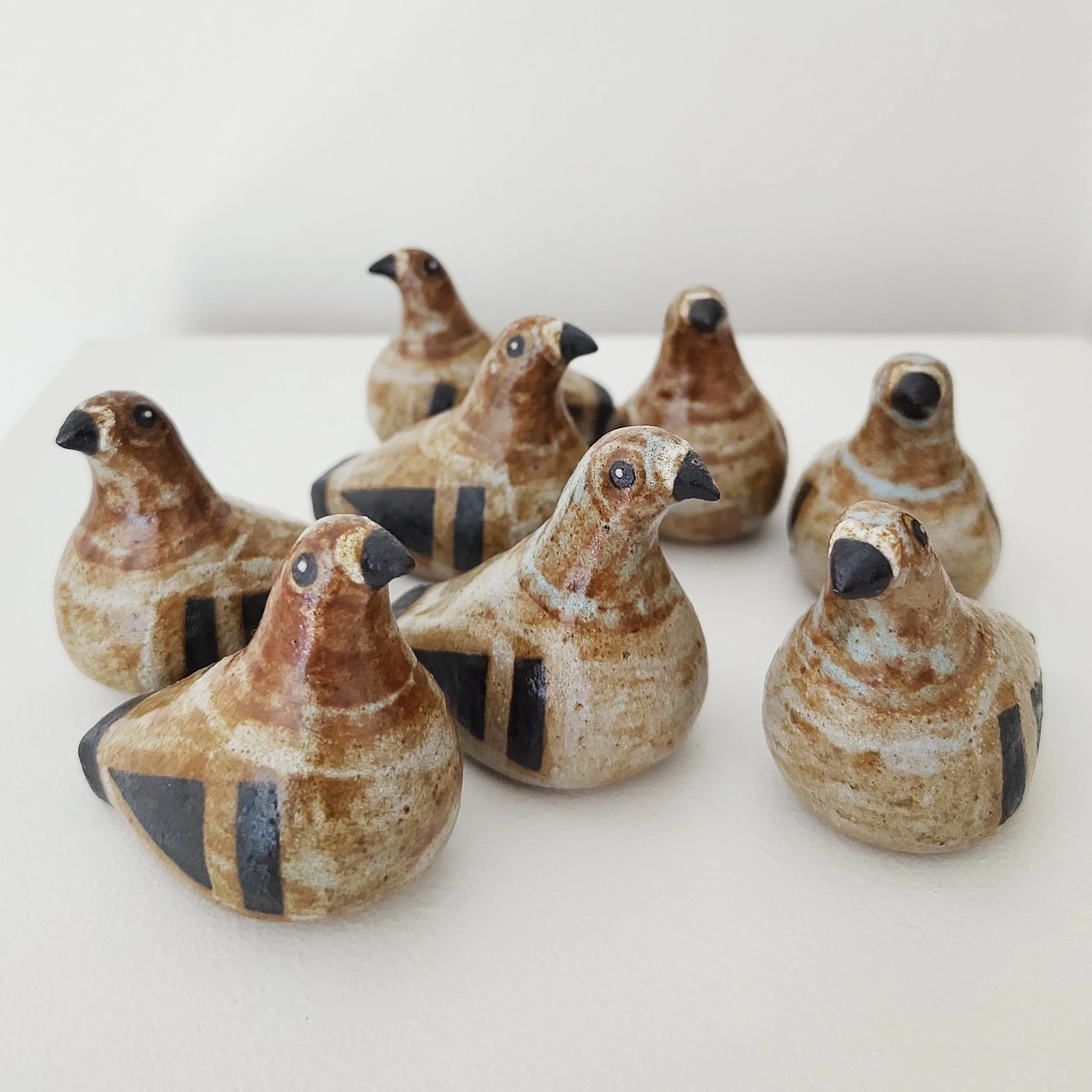 Terracotta Dove Webby 2.jpg