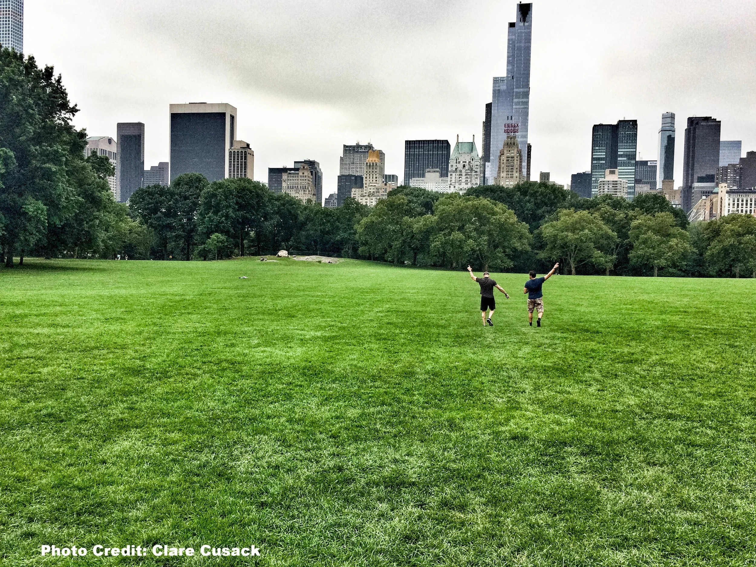 Central Park's Sheep's Meadow