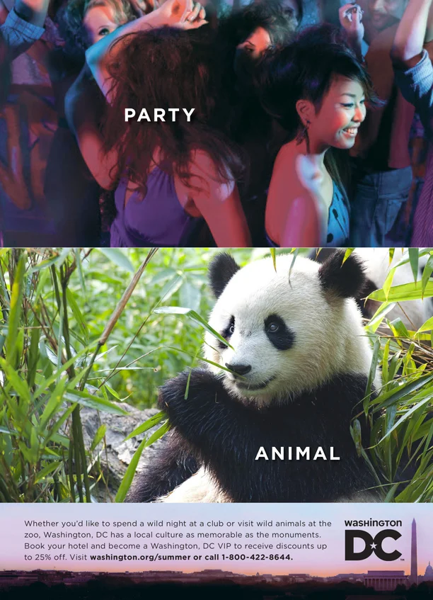 LChwirut_Panda.jpg