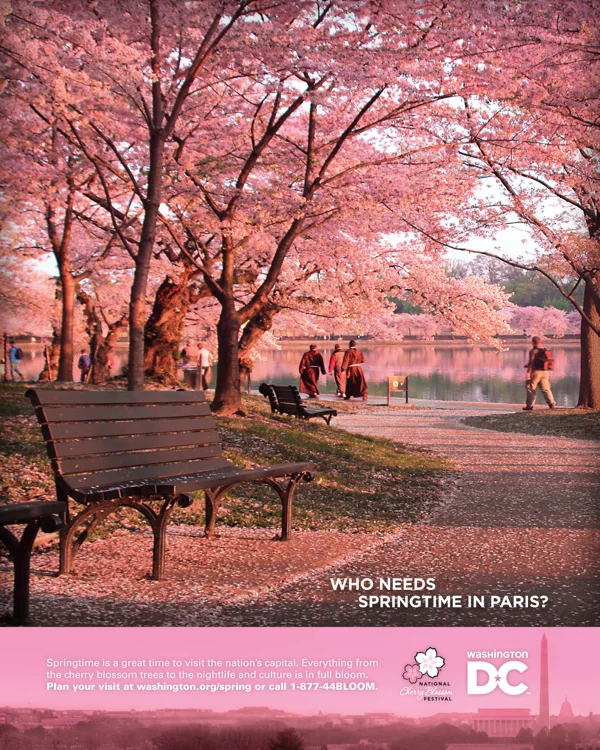 LChwirutDestinationDCCherryBlossom1.jpg