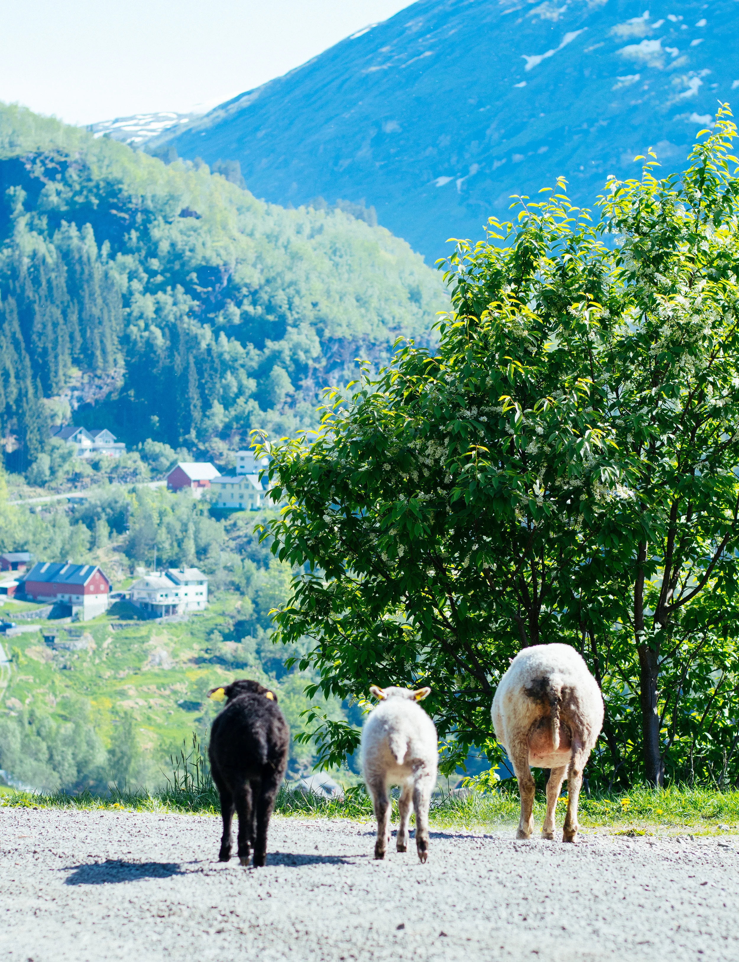 Geiranger, Norway