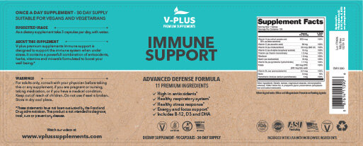 V-plus_supplements_v04.jpg