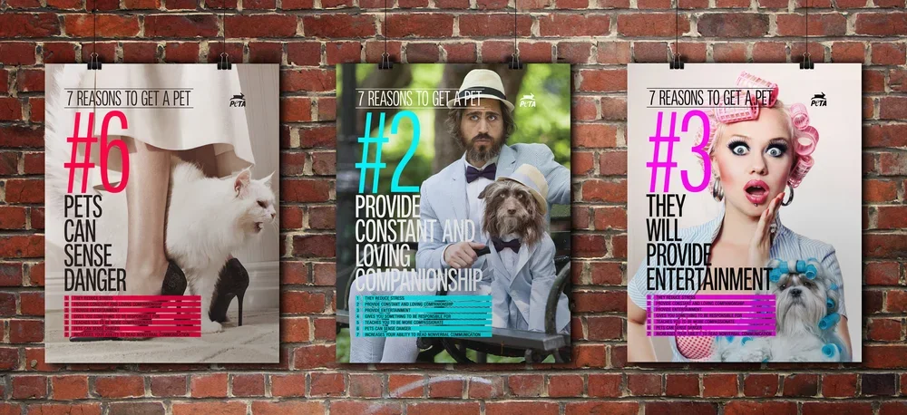 7 Reasons to Get a Pet — Poster Design