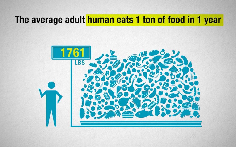 Diet Fiction — Motion Graphics