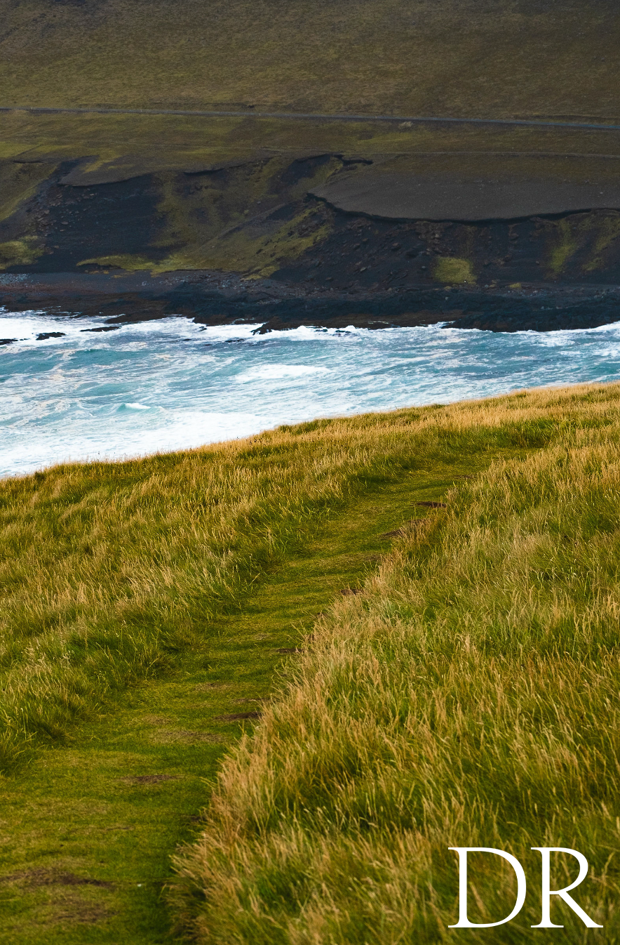 Grass Line - small.png