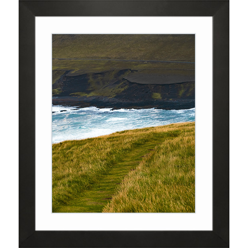 Grass Line Black Frame Print.png