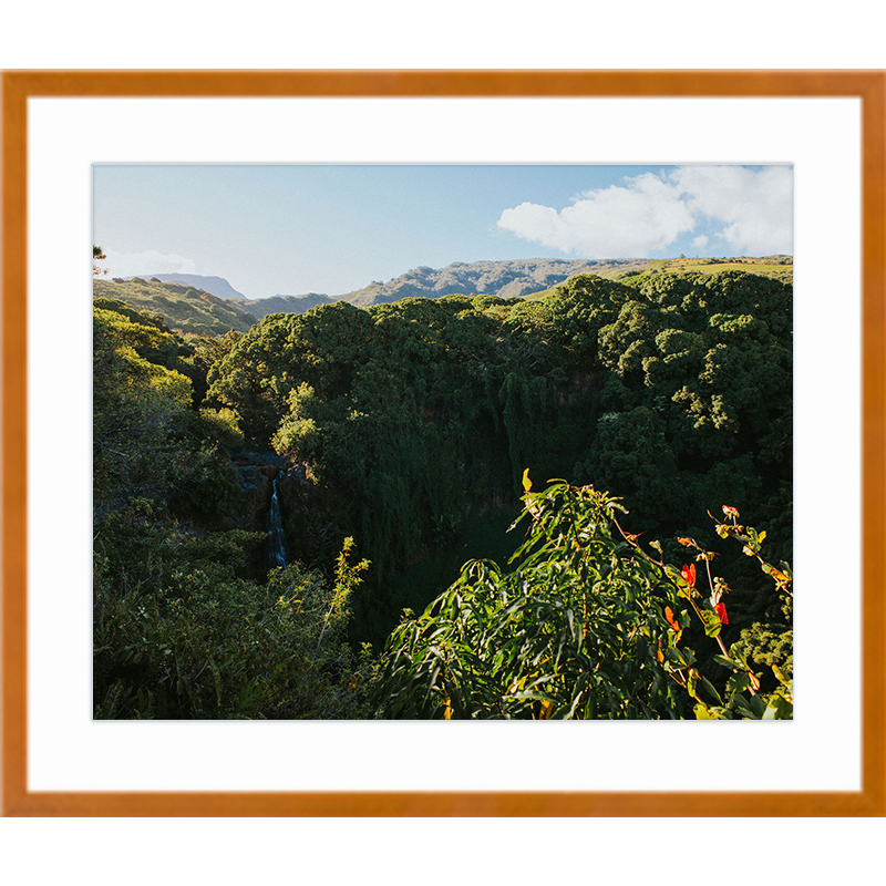 Tropical Forest Maple Frame Print.png