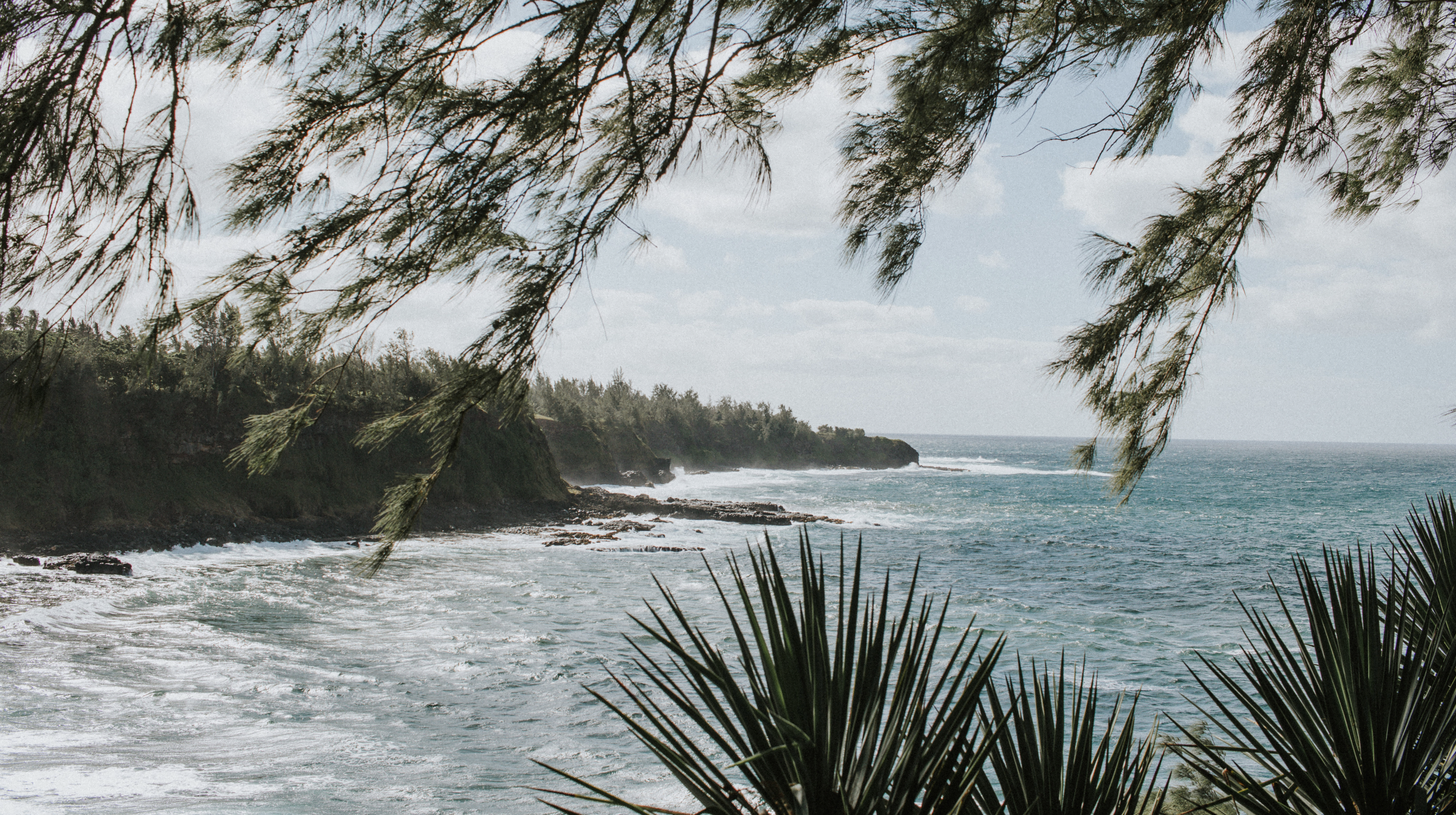 Framed View - small.png