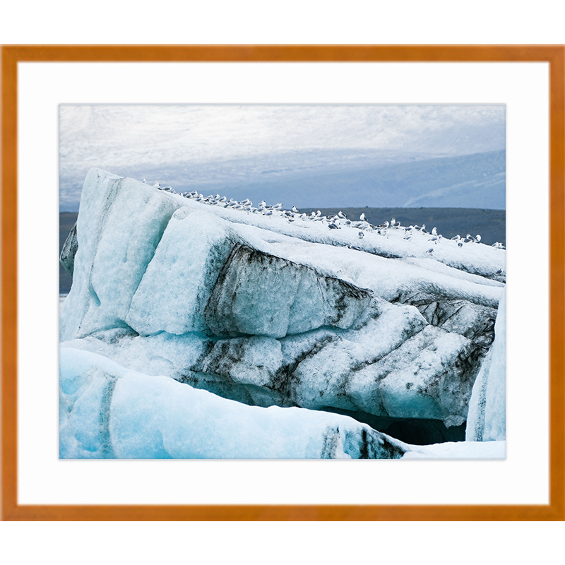 Frozen Assembly Maple Frame Print.png