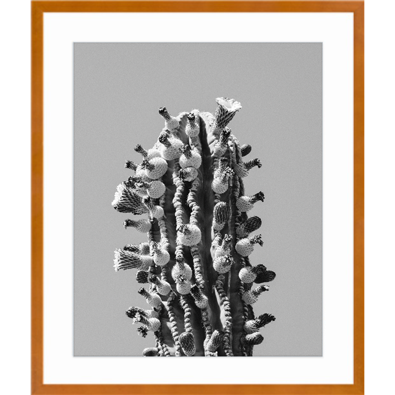 Desert Bloom Maple Frame Print.png