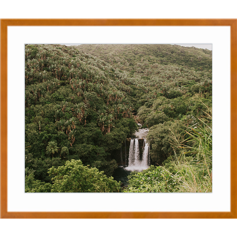 Middle of Mauritius Maple Frame Print.png