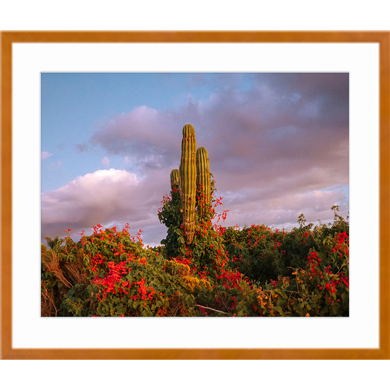 Flora Cactus Maple Frame Print.png