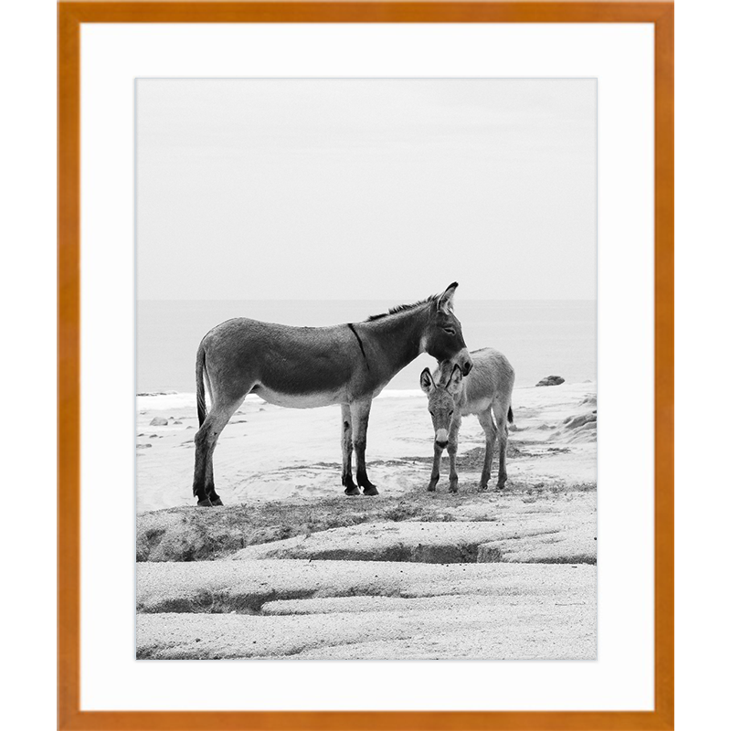 Furry Bond Maple Frame Print.png