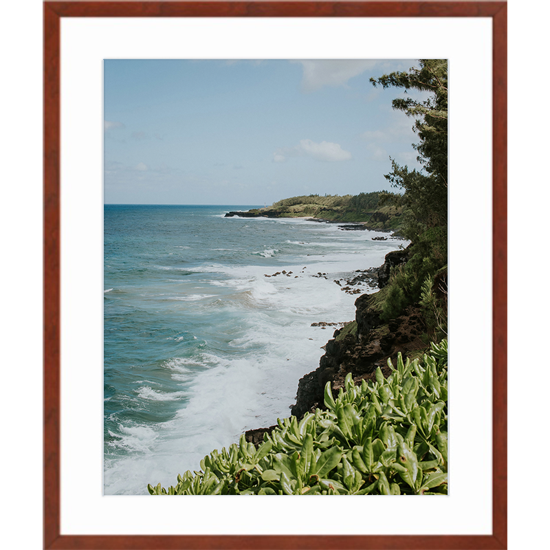 Mauritius Views Cinnamon Frame Print.png