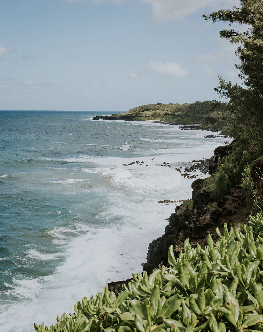 Mauritius Views - small.png