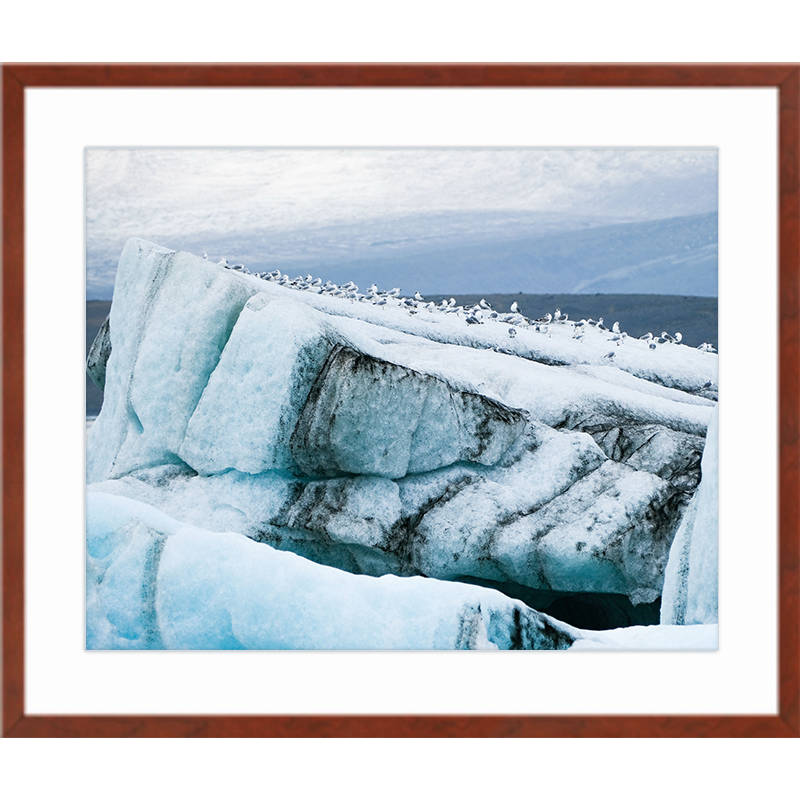 Frozen Assembly Cinnamon Frame Print.png