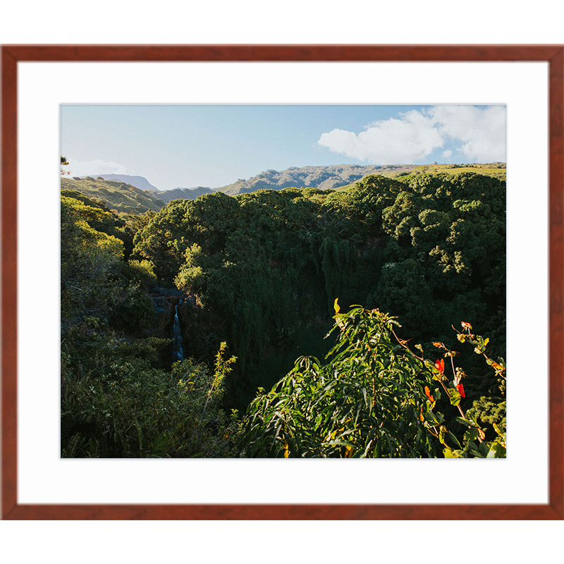 Tropical Forest Cinnamon Frame Print.png